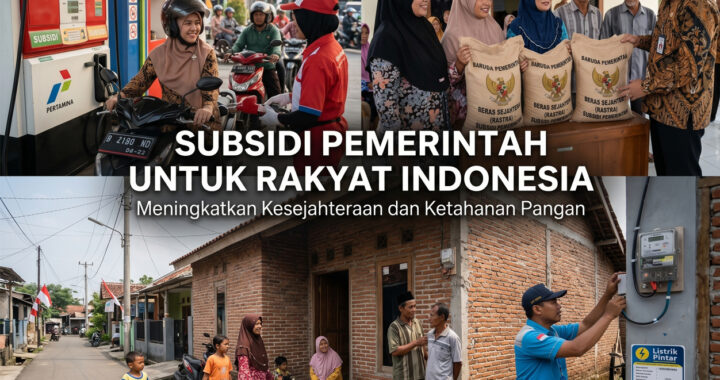 subsidi pemerintah